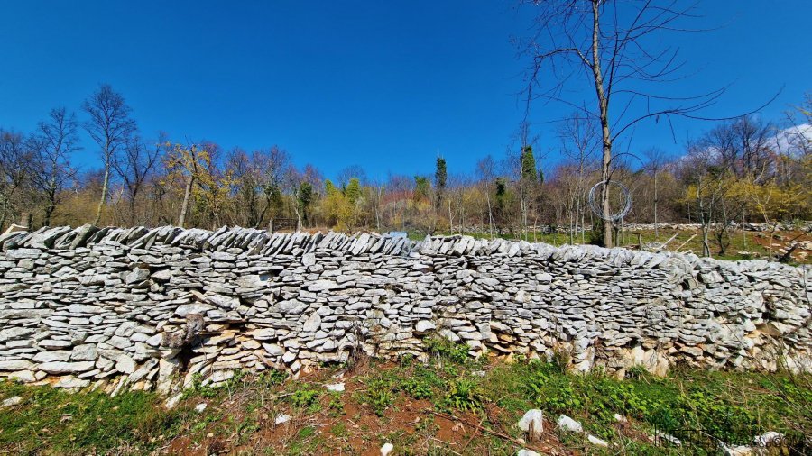 Istra,Grožnjan,okolica-Građevinsko zemljište u mirnom okruže - 7