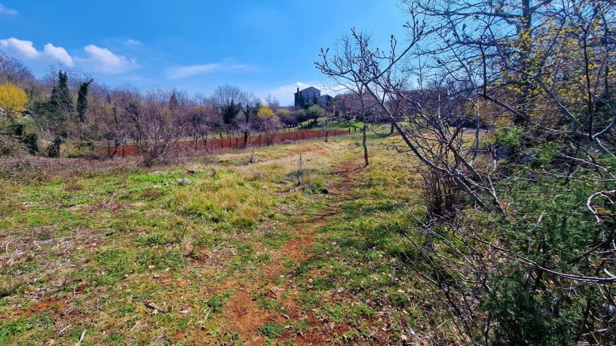 Istra,Grožnjan,okolica-Građevinsko zemljište u mirnom okruže - 8