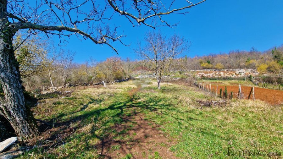 Istra,Grožnjan,okolica-Građevinsko zemljište u mirnom okruže - 9