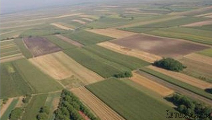 Njiva od 4 i 1.23ha u Sapcu