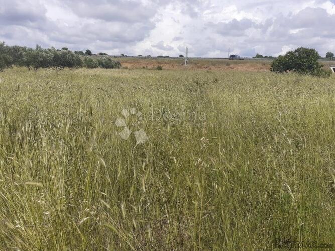 Bibinje- poljoprivredno zemljište na atraktivnoj lokaciji