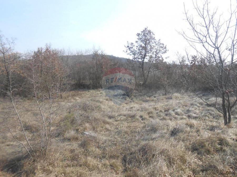 Istra, okolica Rovinja, Sošići, poljoprivredna parcela - 2