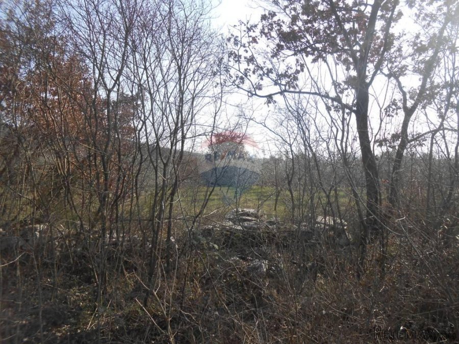 Istra, okolica Rovinja, Sošići, poljoprivredna parcela - 4