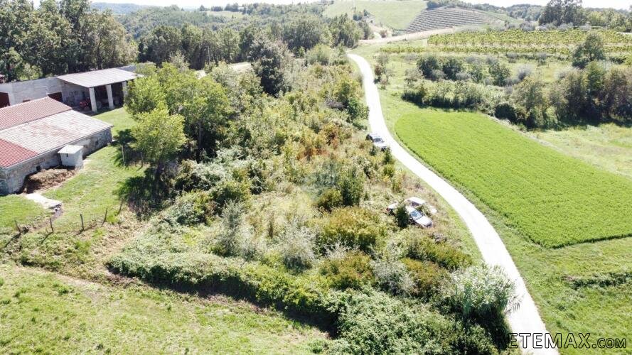 ISTRA, KAŠČERGA - Građevinsko zemljište 1650 m2 + 650 m2 pol - 5