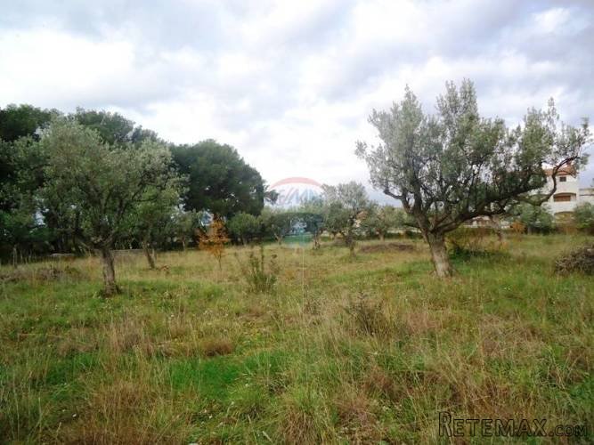 ZEMLJIŠTE U FAŽANI 250M OD PLAŽE - 2