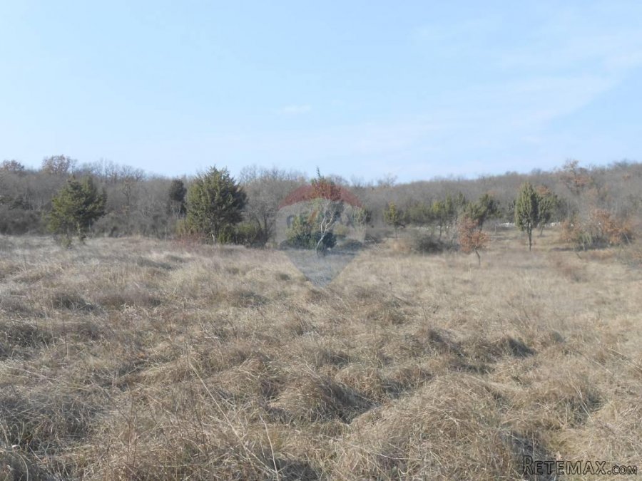 Istra, okolica Rovinja, Sošići, poljoprivredna parcela - 6