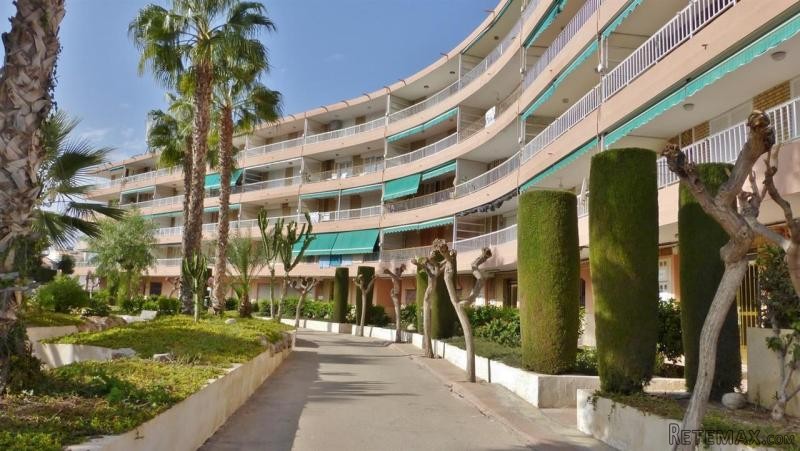 3 Bedrooms - Apartment - Murcia - For..