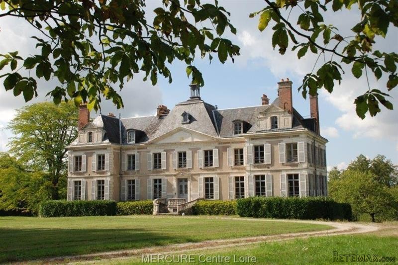 11 bedroom Castle For Sale: 45500 GIEN