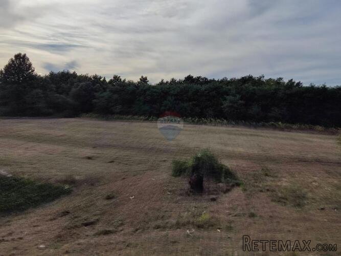 Istra,Savičenta,poljoprivredno zemljište - 3