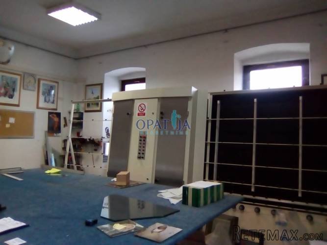 Sveti Ivan Zelina, stan 110 m2 s poslovnim prostorom 120 m2..