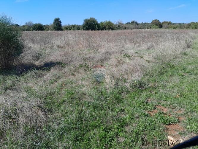 Istra,Marčana,građevinski teren sa mogućnošću parcelacije - 2