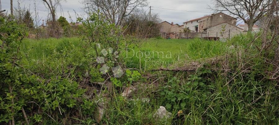 Žužići, Istra - teren 960m2 za villu, obiteljsku kuću - 2