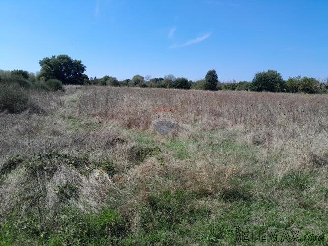 Istra,Marčana,građevinski teren sa mogućnošću parcelacije - 3