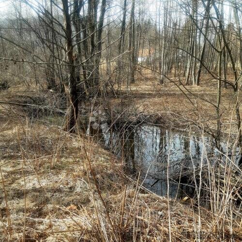 Odličan građevinski teren u Jasenku, Bjelolasica - 3