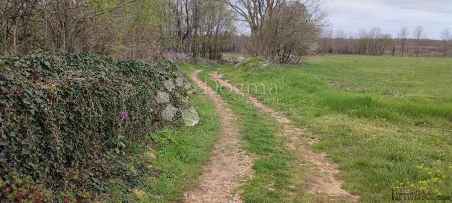 Žužići, Istra - teren 960m2 za villu, obiteljsku kuću - 3