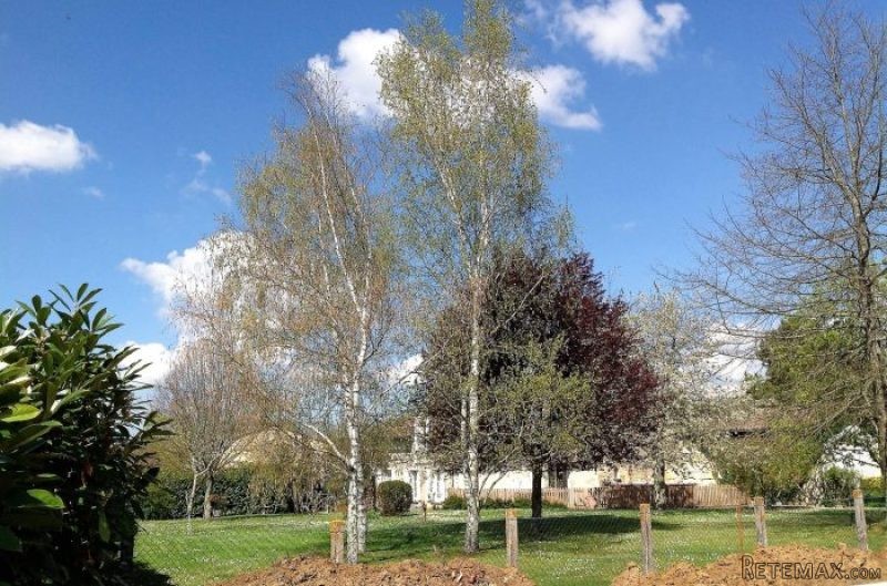 4 Bedrooms - House - Aquitaine - For.. - 2