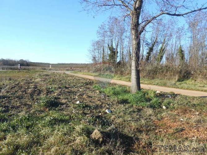 Istra, okolica Vižinade, građevinsko zemljište, 45 Eura...