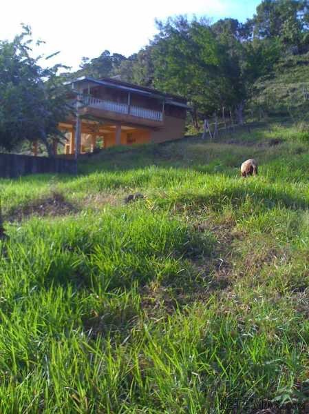 Beautiful Farmland With House And.. - 2