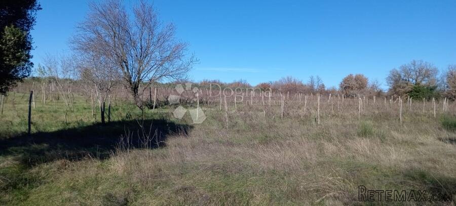 VELIKA POLJOPRIVREDNA PARCELA UZ GLAVNU CESTU - 3