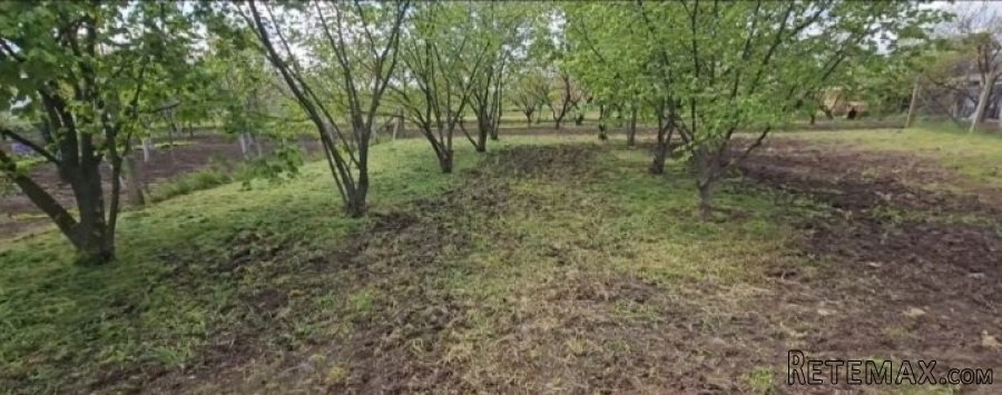 Kuca i plac u Žablju - 6