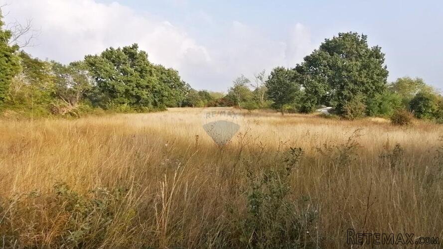 BADERNA, okolica- građevinsko zemljište stambene namjene