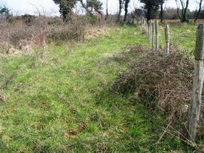 ISTRA ,LIŽNJAN: GRAĐEVINSKO ZEMLJIŠTE BLIZU MORA - 5
