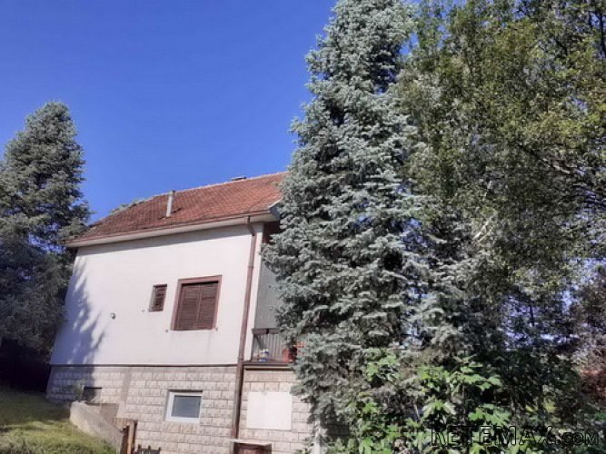 Avala, blizu megamarketa Koka Mar, 200 m2 - 26
