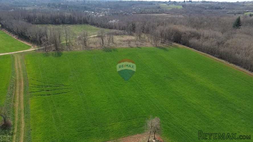 Istra, Vižinada, okolica - plodna oranica 11.458 m2