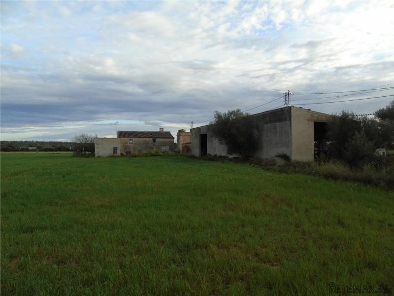 Country House (Cortijo) For Sale In..