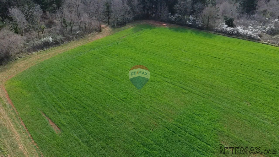 Istra, Vižinada, okolica - oranica 17.273 m² – odmah spremna