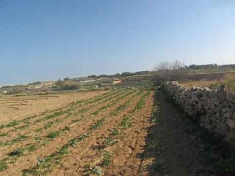 Land / Fields, - 2