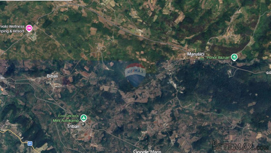 Istra, Momjan-šuma - 2