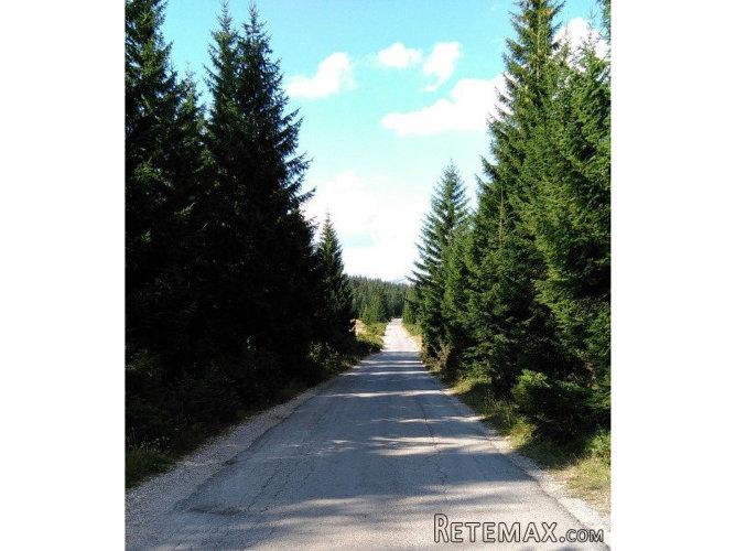 Odlican gradjevinski plac Zabljak,CrnaGora - 2