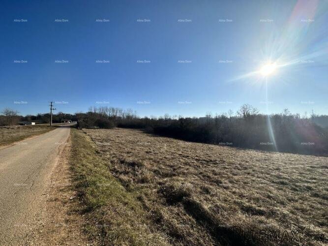 Prodaje se građevinsko zemljište, 3697 m2, okolica Motovuna - 2