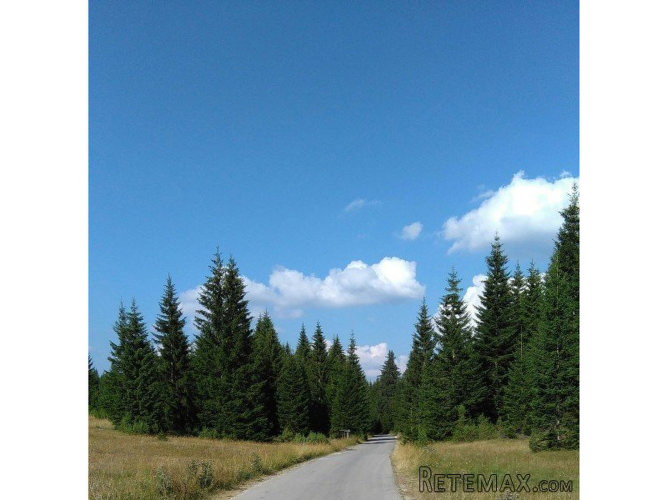 Odlican gradjevinski plac Zabljak,CrnaGora - 3
