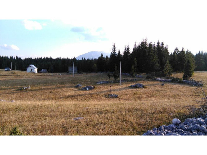 Odlican gradjevinski plac Zabljak,CrnaGora - 8