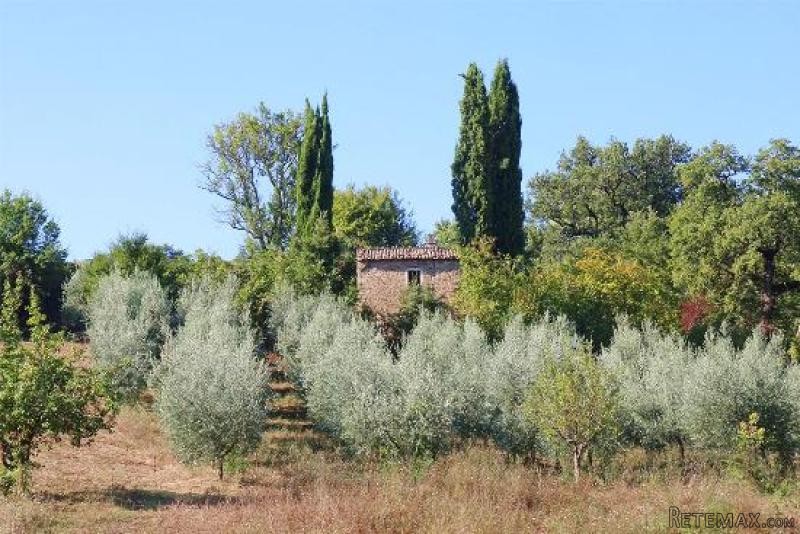 House - Tuscany - For Sale