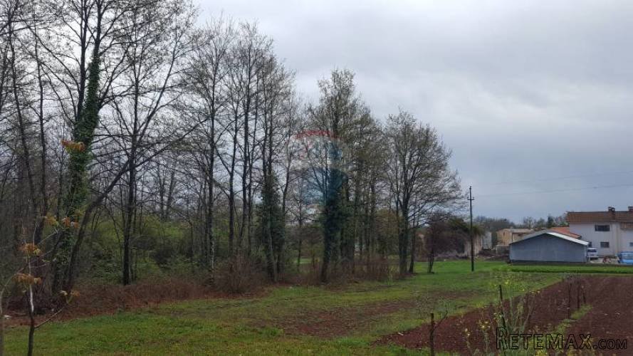 Građevinsko zemljište od 4000m2 u blizini Žminja - 2