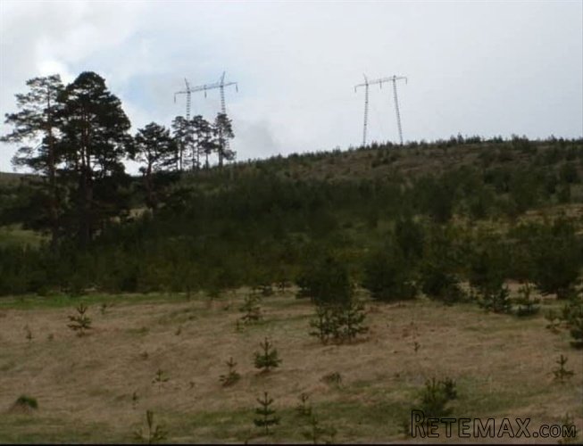 Zlatiborski Dukat-zemljiste,investicija-Čigota - 15