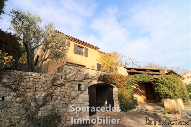 Speracedes Close To The Village