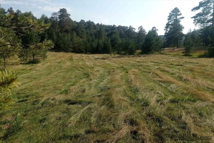 Zlatiborski Dukat-zemljiste,investicija-Čigota - 17