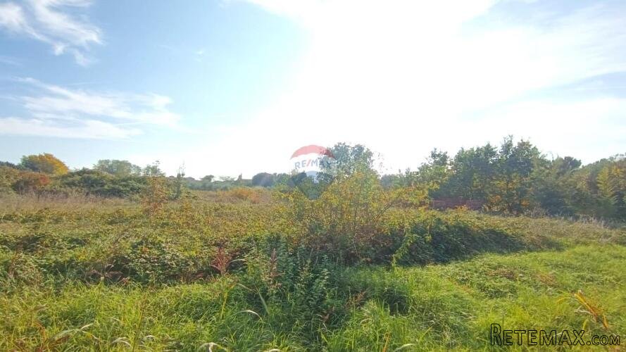 Istra,Novigrad,predgrađe-Građevinsko zemljište u mirnom okru