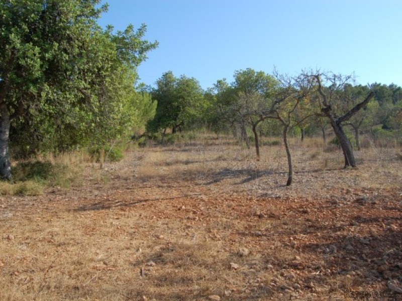 Beautiful Plot Near Santa Maria - 2