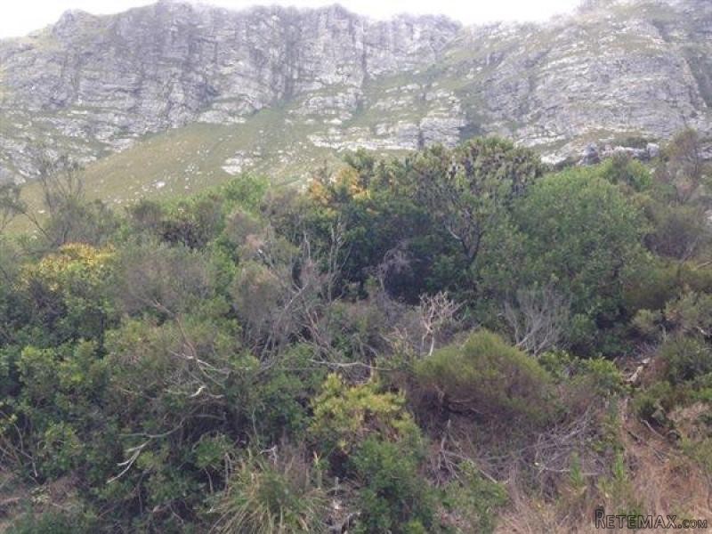 Bettys Bay Vacant Land, Bettys Bay - 2
