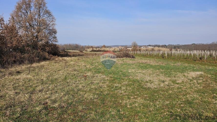 Istra, Umag okolica- poljoprivredno zemljište