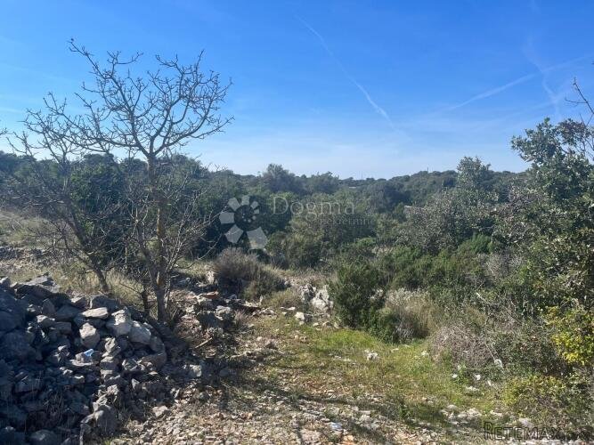 Poljoprivredno zemljište 9050 m2- Sevid - 2