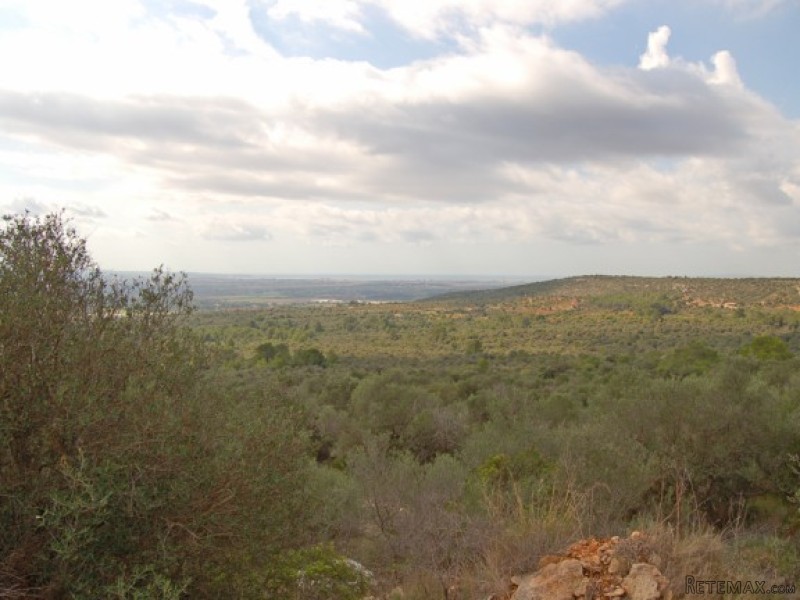 Building Plot With Bay Views In Puntiro - 2