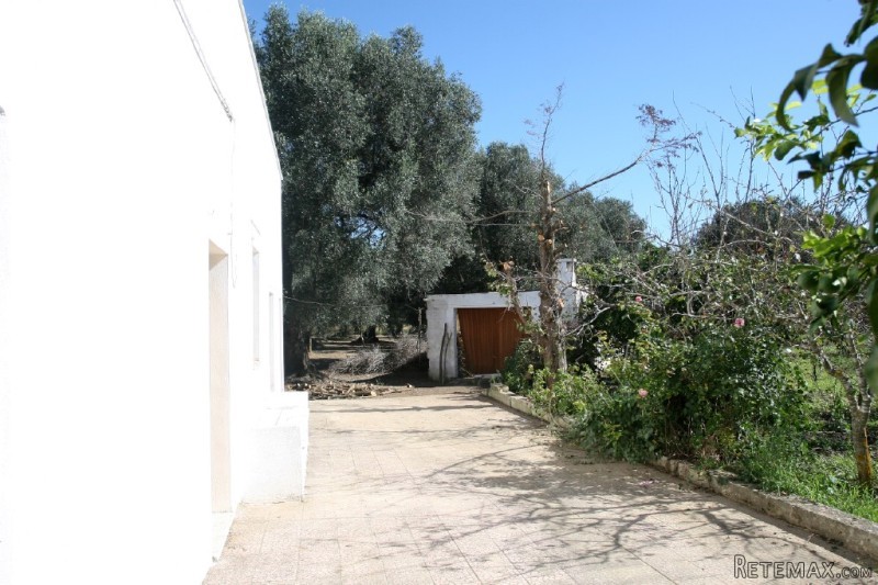 V000162, Casale In Agro Di Oria - 2