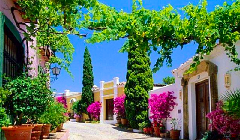 3 bedroom town house for sale