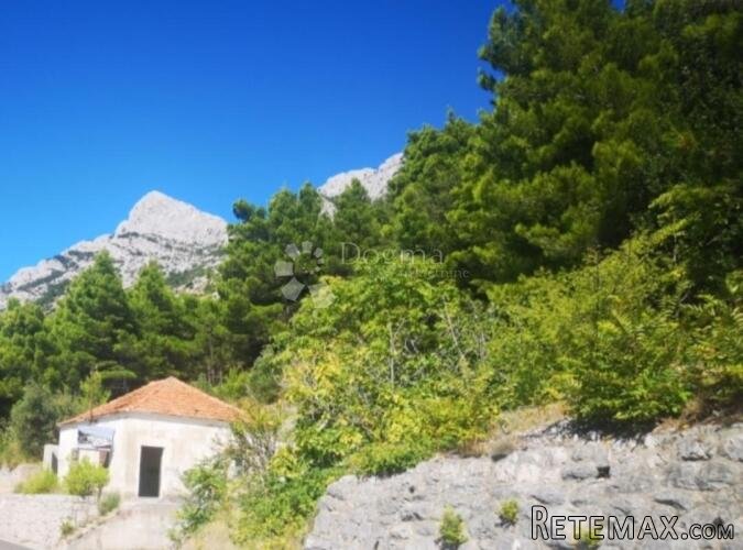Kuća za adaptaciju sa 2000 m2 zemljišta